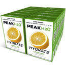 PEAK H20 LEMON LIME ENERGY POWDER DRINK