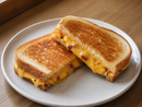 WISCONSIN'S BEST CHEDDAR SALAMI CHEESE
