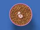 FILLO'S PERUVIAN LENTILS